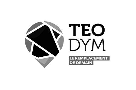 Logo Theodym Nb